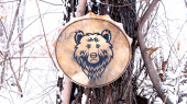 Бубен "Сила медведя" (кожа марала с мехом) с колотушкой фото в интернет-магазине эко товаров из Горного Алтая