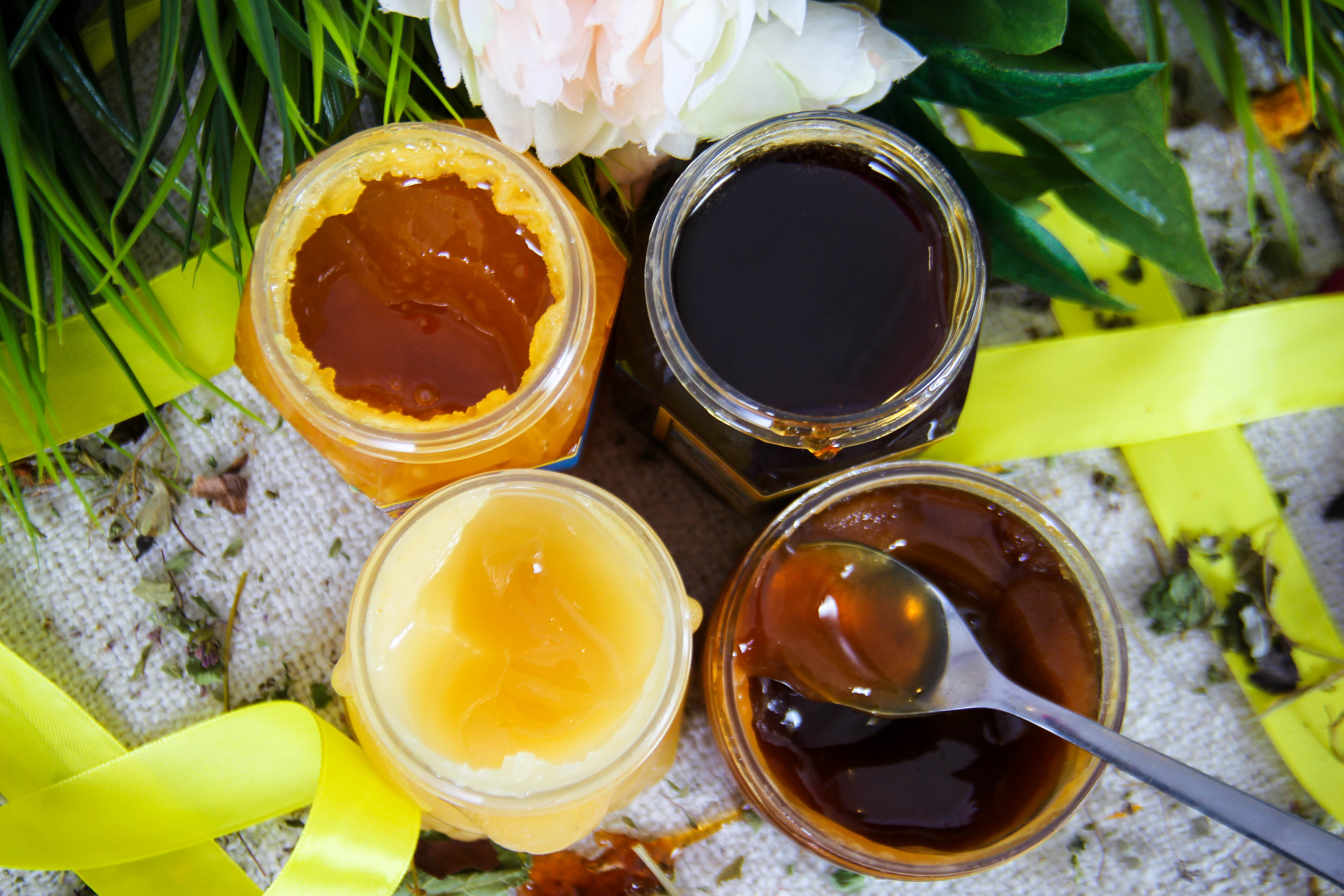 Honey фото. Алтайский мед. Высокогорный мед Алтая. Мёд разнотравье. Мёд горный.