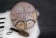 Алтайский бубен - копия шаманского бубна